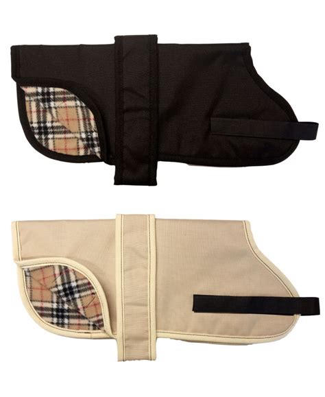 burberry dog clothes uk